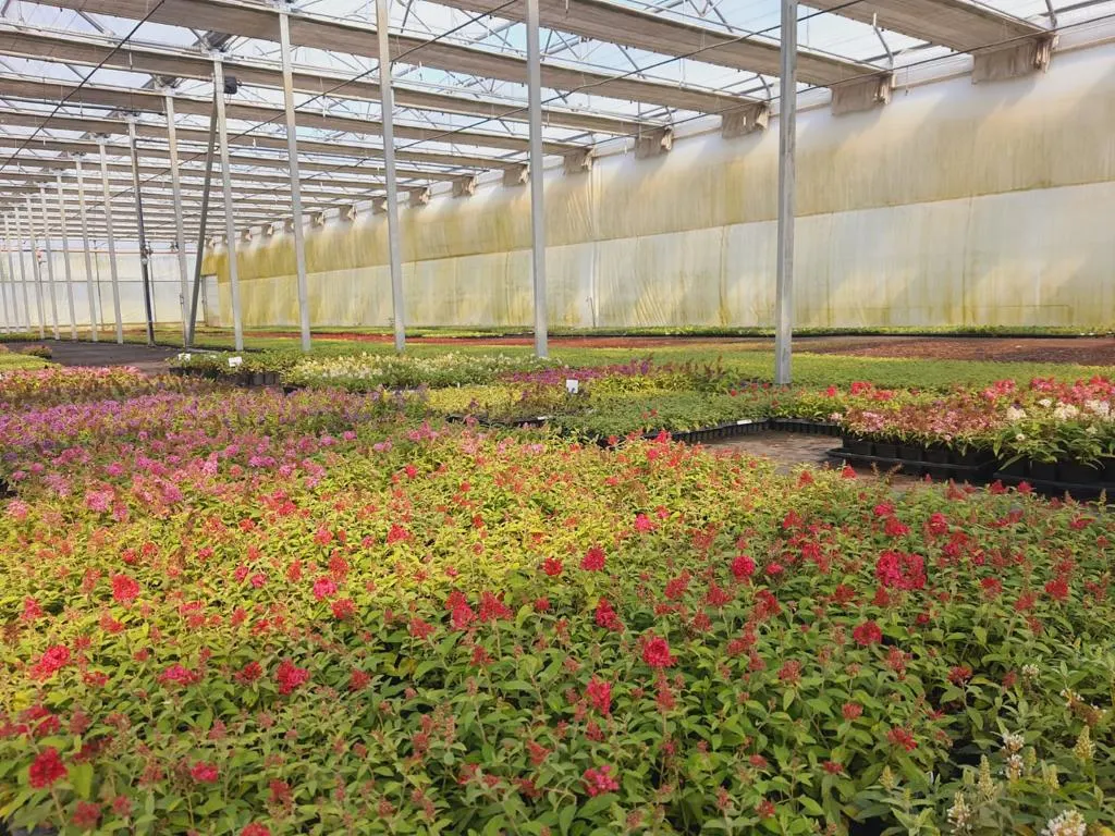 Pohľad z škôlky Marcinków 1