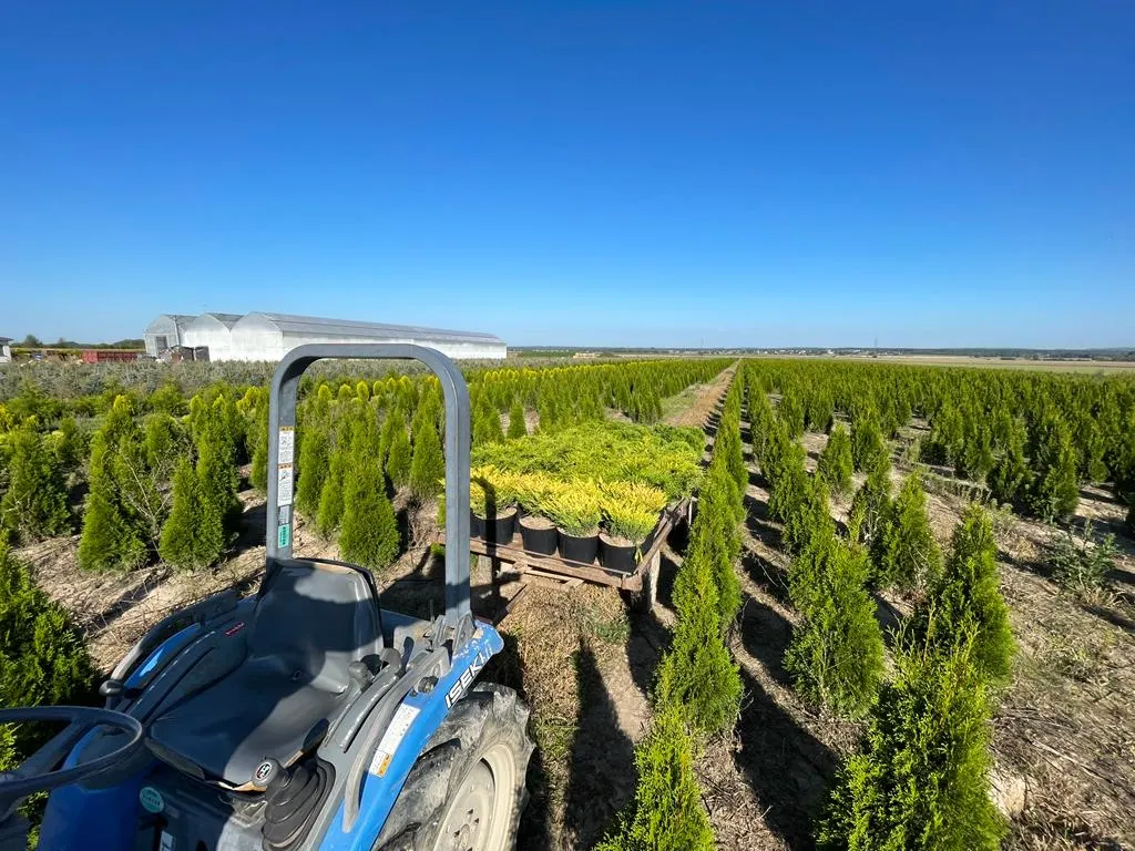 Pohľad z škôlky Marcinków 2