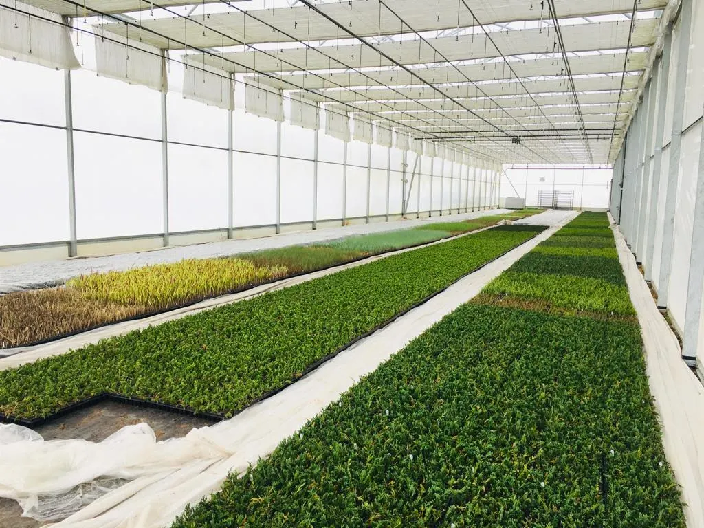 Pohľad zo škôlky Marcinków 4