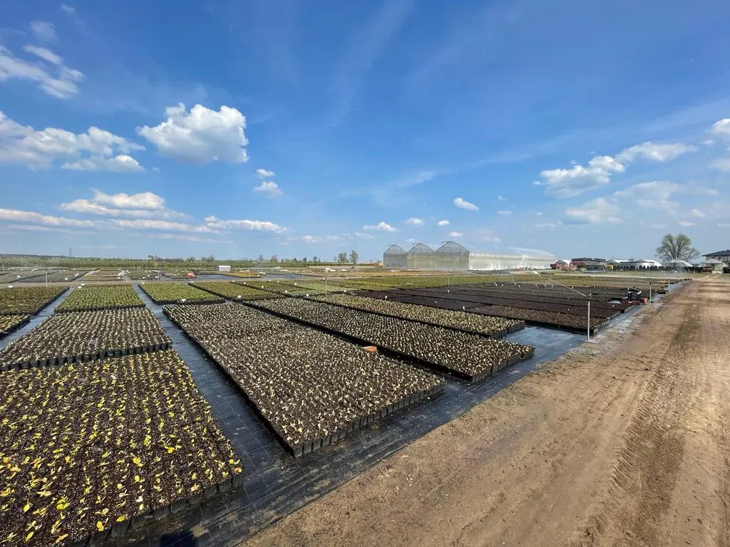 Pohľad z škôlky Marcinków 11